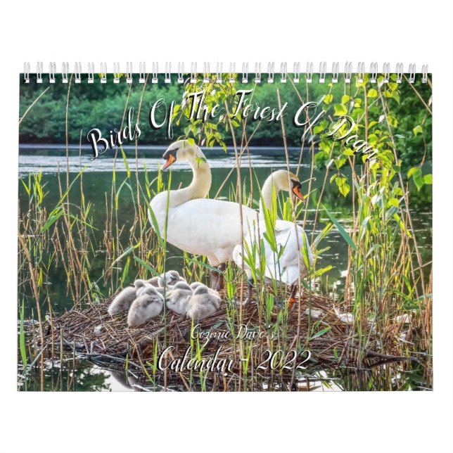 Calendário Aves da Floresta de Dean Calendar 2022 (Capa)