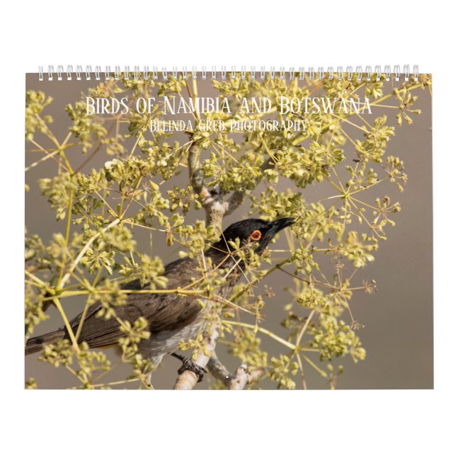 Calendário Aves da Namíbia e Botsuana (Capa)