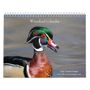 Calendário Aves de água 2026