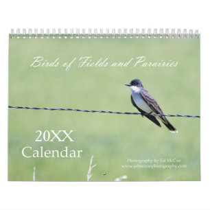 Calendário Aves de Campos e Pradarias