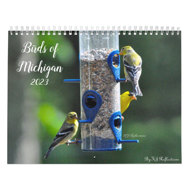 Calendário Aves de Michigan (Capa)
