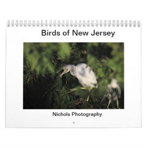 Calendário Aves de Nova Jersey