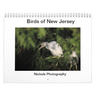 Calendário Aves de Nova Jersey