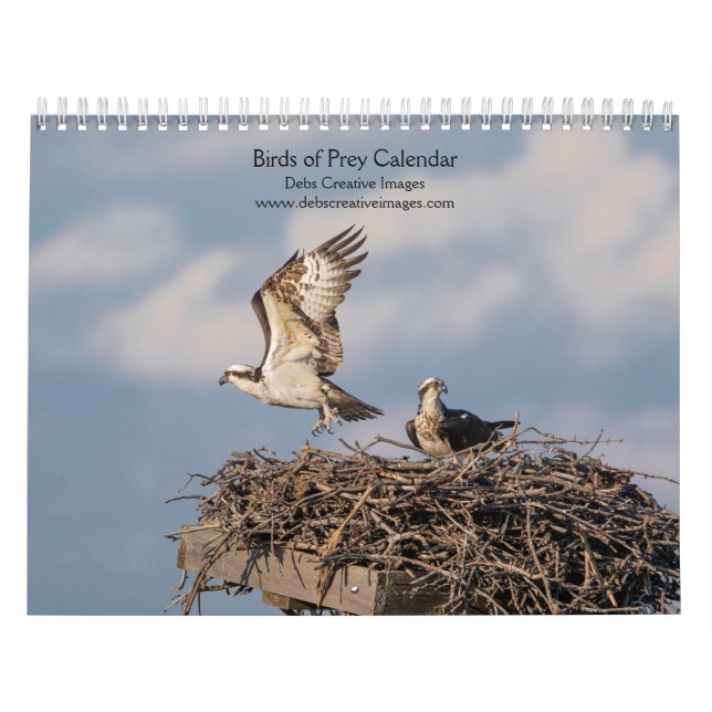 Calendário Aves de presa 2026 (Capa)