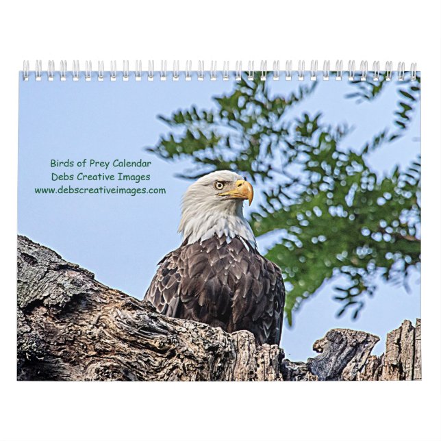 Calendário Aves de Rapina 2026 (Capa)