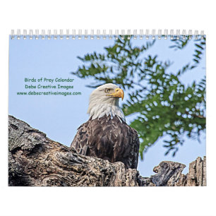 Calendário Aves de Rapina 2026