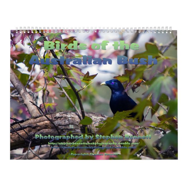 Calendário Aves do australiano Bush (Capa)
