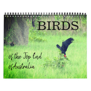 Calendário aves do extremo norte 2026