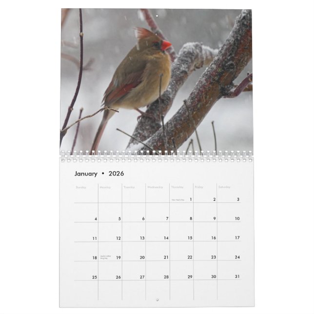 Calendário Aves do quintal (Jan 2026)