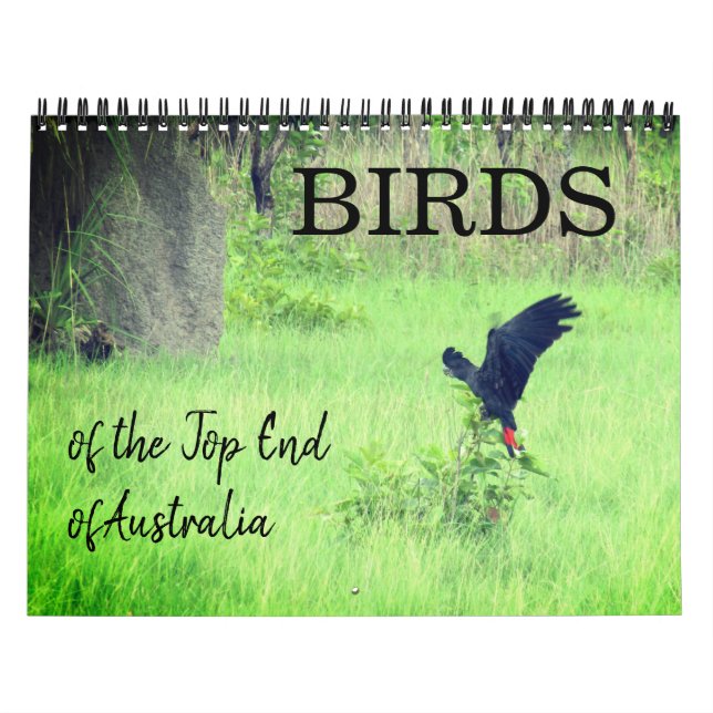 Calendário aves do top end 2027 (Capa)