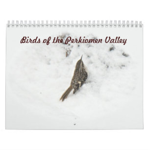 Calendário - Aves do Vale do Perkiomen