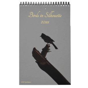 Calendário Aves em Silhouette 2026