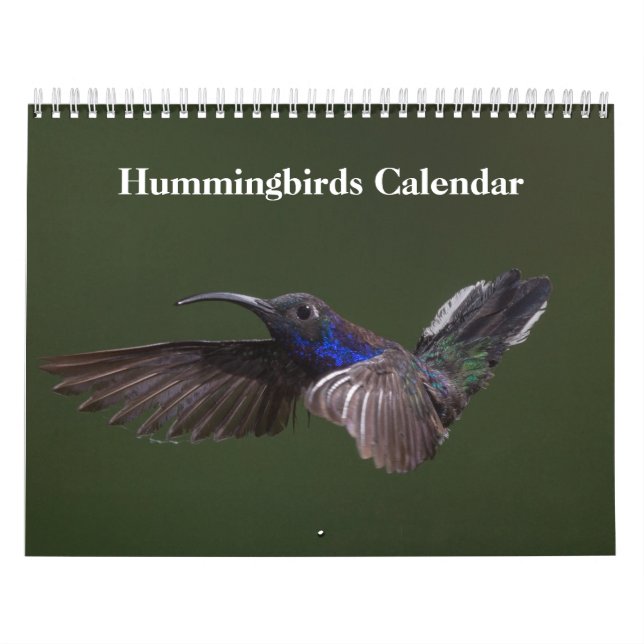 Calendário Aves Hummingbird 2025 (Capa)