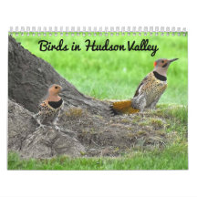 Aves no Vale do Hudson