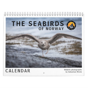 Calendário Aves Vida Selvagem Foto 2026