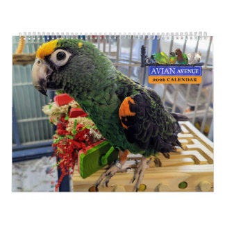 Calendário Avian Avenue 2026 Parrot Calendar
