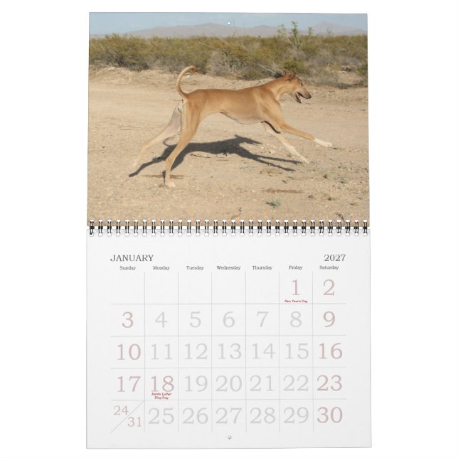 Calendário Azawakh 2011 (Jan 2027)