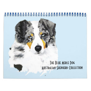 Calendário Azul Merle australiano Pastor com duas páginas M.
