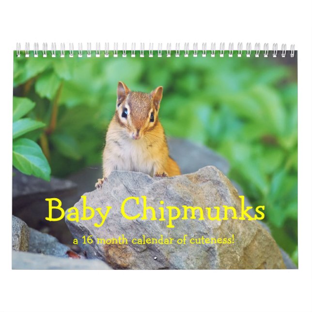 Calendário Baby Chipmunks 2013/2014 (calendário de 16 meses) (Capa)