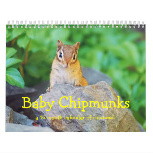 Calendário Baby Chipmunks 2013/2014 (calendário de 16 meses)