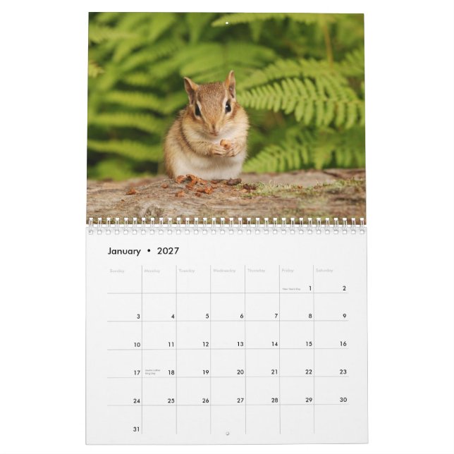 Calendário Baby Chipmunks 2014/2015 (calendário de 16 meses) (Jan 2027)