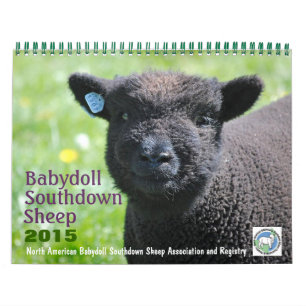 Calendário Babydoll Southdown Sheep 2015 NABSSAR Calendar