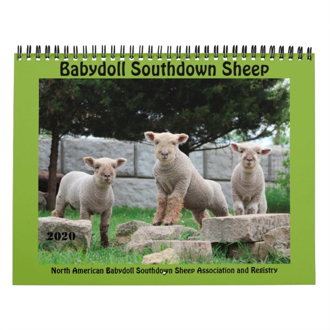 Calendário Babydoll Southdown Sheep 2020 NABSSAR Calendar (Capa)