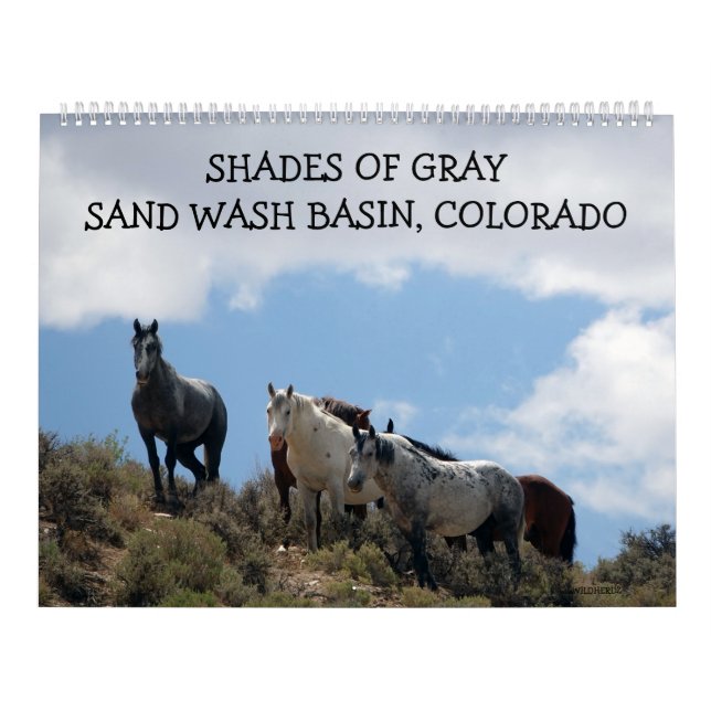 Calendário Bacia de Areia de Tons de Cinza, Colorado (Capa)