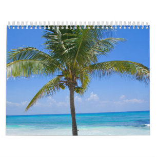 Calendário Bahamas Palm Tree