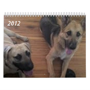 Calendário Baja/Hercules