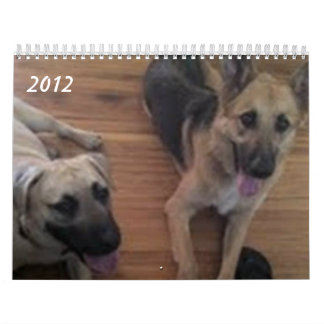 Calendário Baja/Hercules