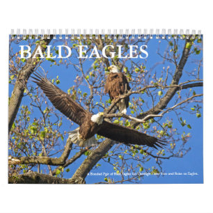 CALENDÁRIO BALD EAGLE LIFE
