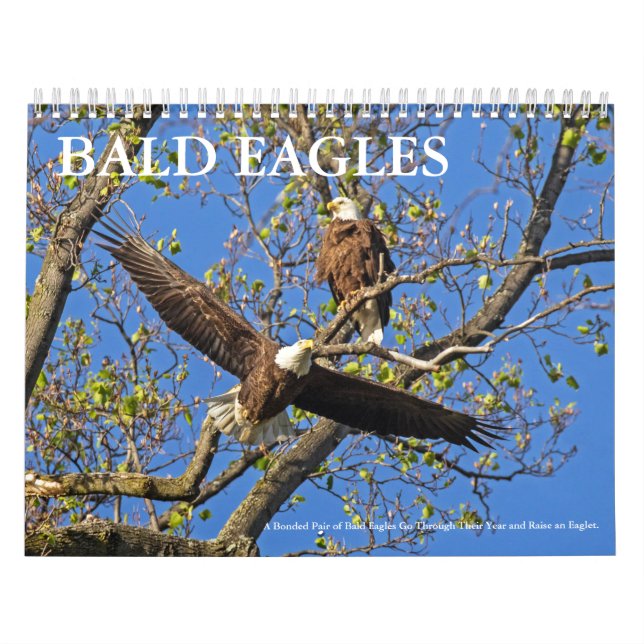 CALENDÁRIO BALD EAGLE LIFE (Capa)