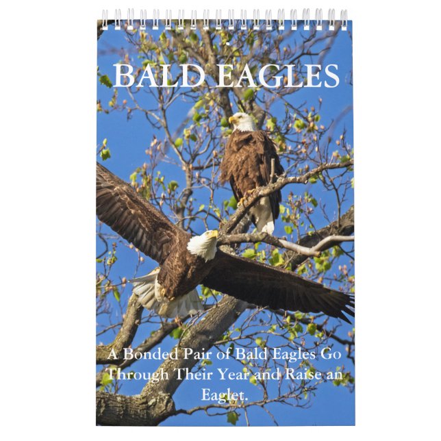 CALENDÁRIO BALD EAGLE LIFE (Capa)