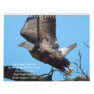 Calendário Bald Eagle Posterizada 2024