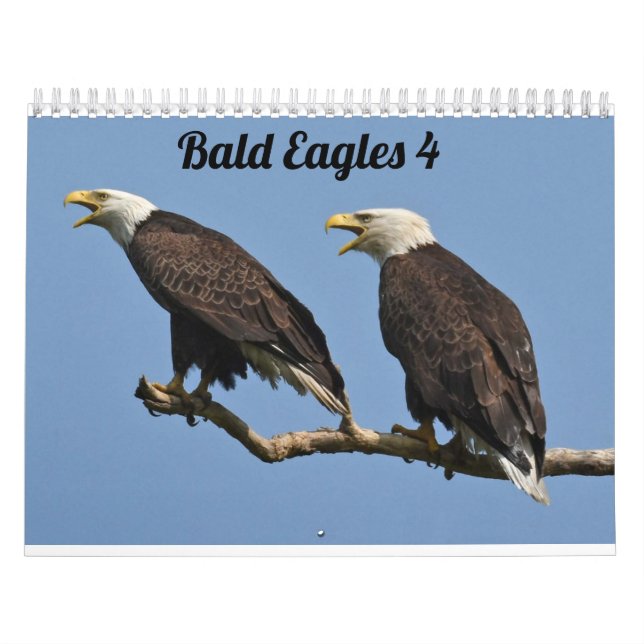Calendário Bald Eagles $ (Capa)