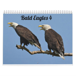 Calendário Bald Eagles $