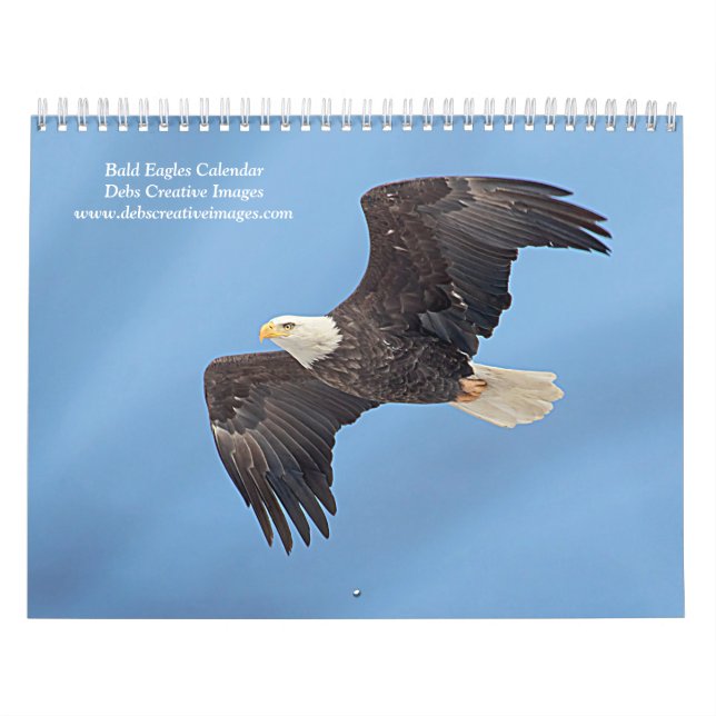 Calendário Bald Eagles 2026 (Capa)