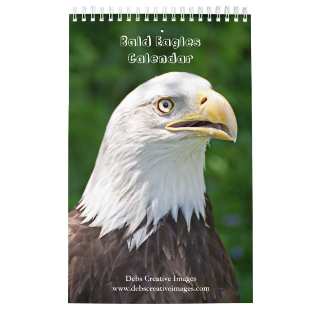 Calendário Bald Eagles 2026 (Capa)