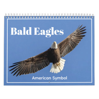 Calendário Bald Eagles, American Symbol Calendar