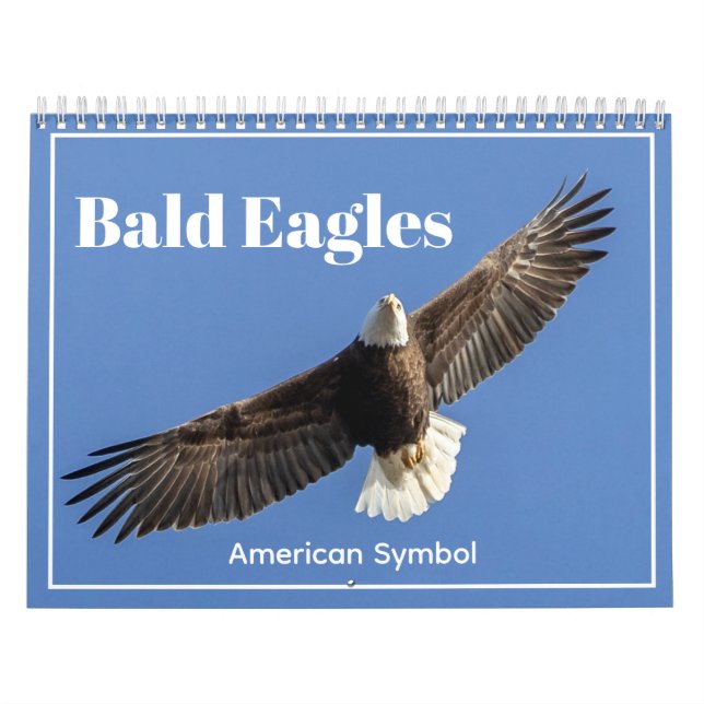 Calendário Bald Eagles, American Symbol Calendar (Capa)
