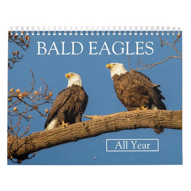 Calendário BALD EAGLES - Todo o ano (Capa)