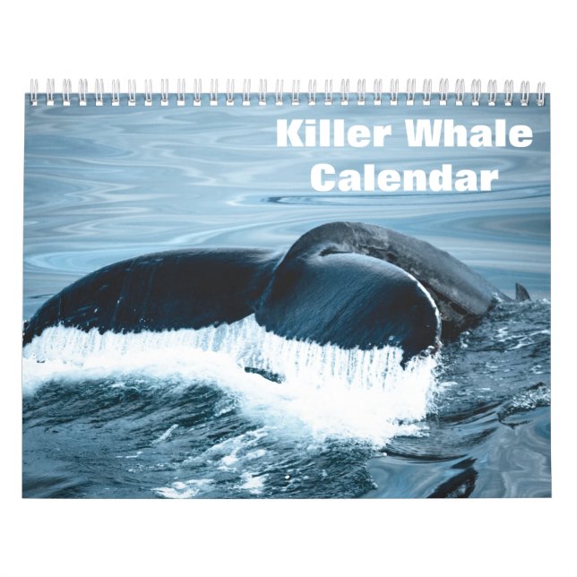 Calendário Baleia Assassina Orcas 2026 (Capa)