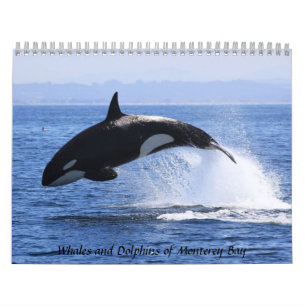 Calendário Baleias e golfinhos da Baía de Monterey