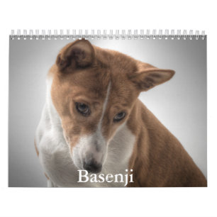 Calendário Basenji