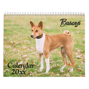 Calendário Basenji 2025
