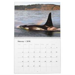 Calendário BC baleias