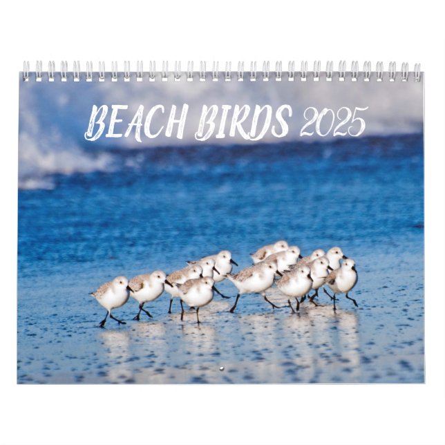 Calendário Beach Birds 2025 (Capa)
