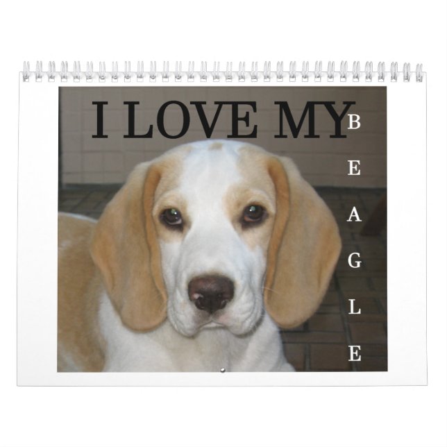 Calendário Beagle Calender (Capa)