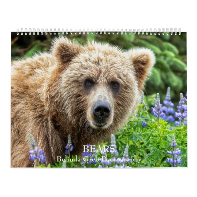 Calendário BEARS - Fotografia Belinda Greb (Capa)